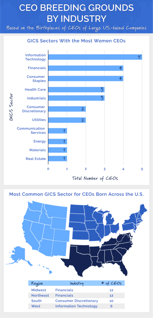 A chart showing the most common industries of CEOs by gender and birthplace